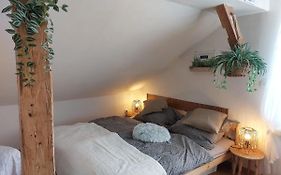 Apartman Mourek
